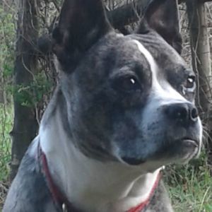 Meet your Posher, Patty